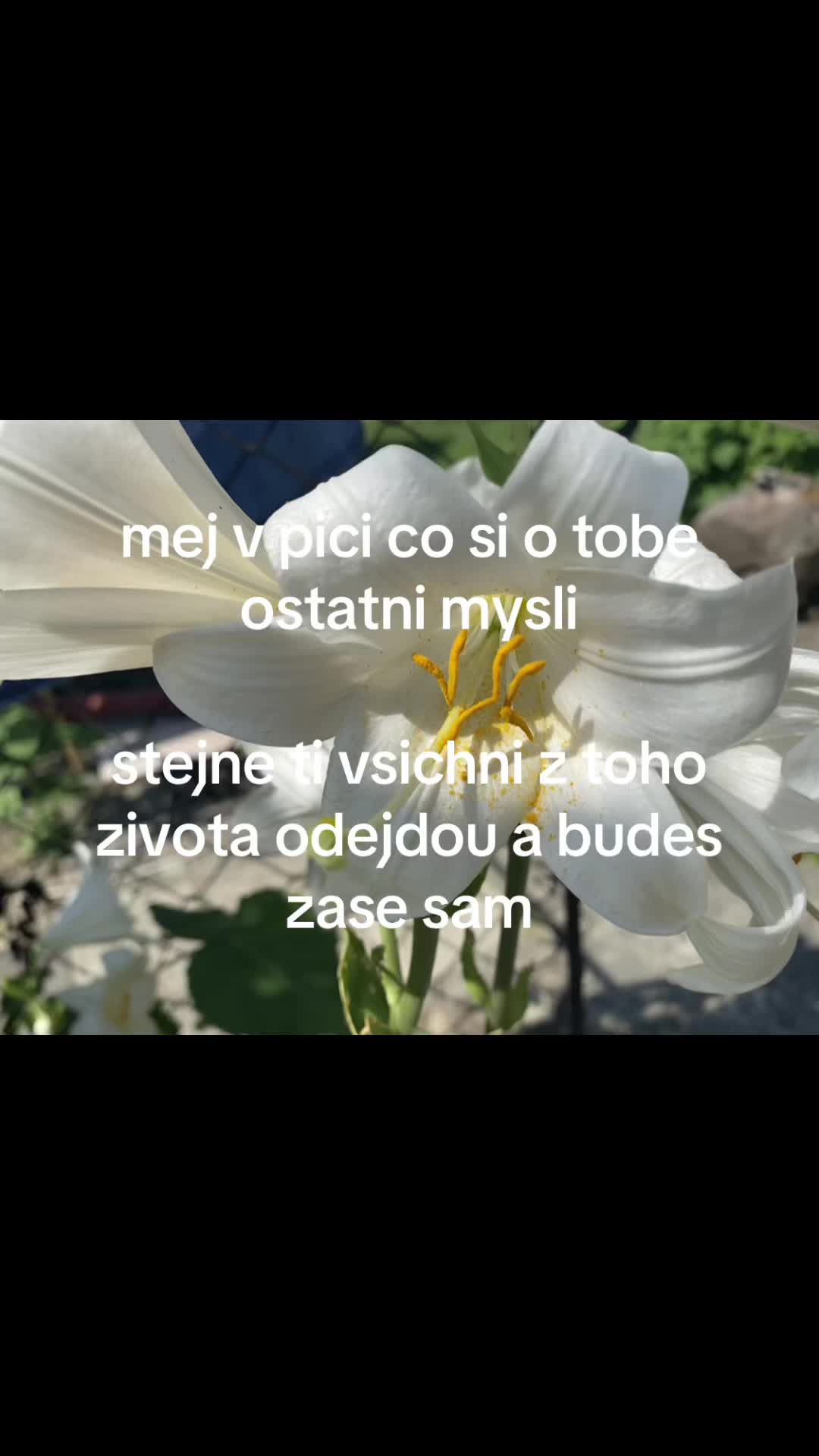 @retard lwk