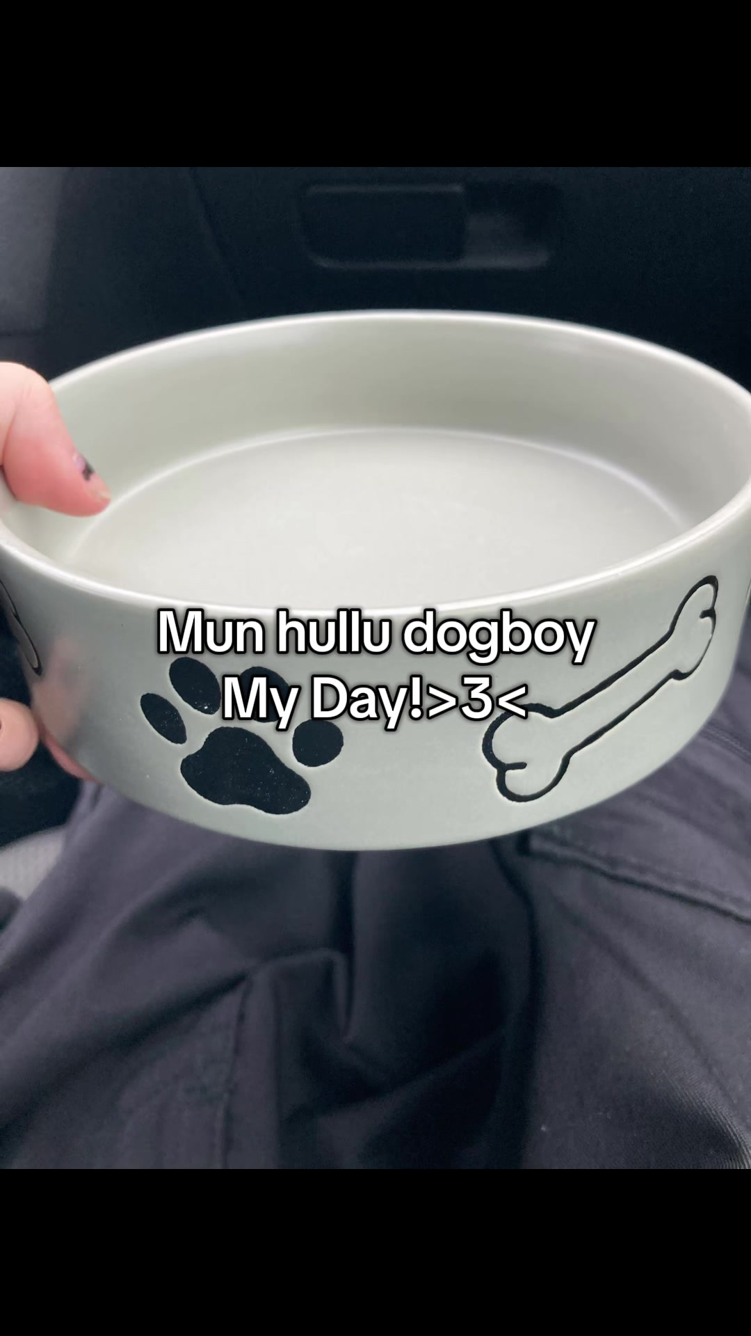 @Canine
