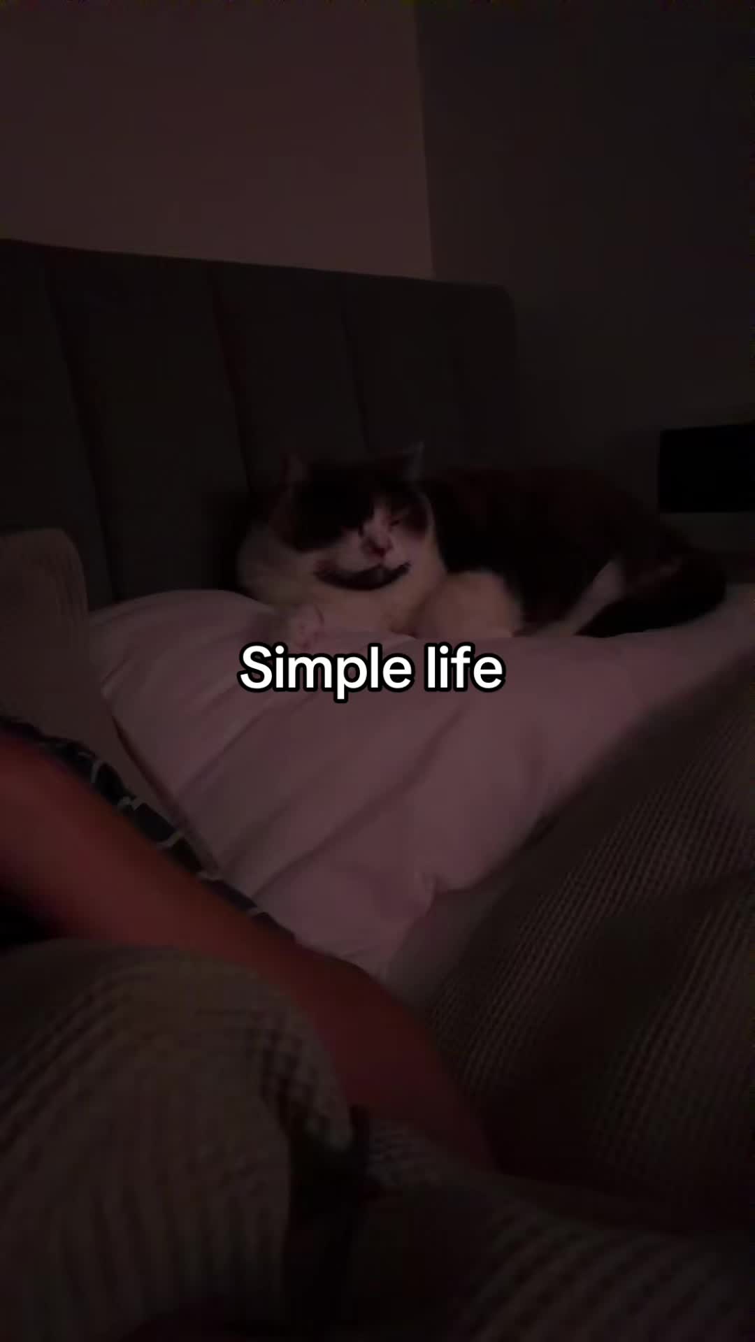 @Aim&egrave;e