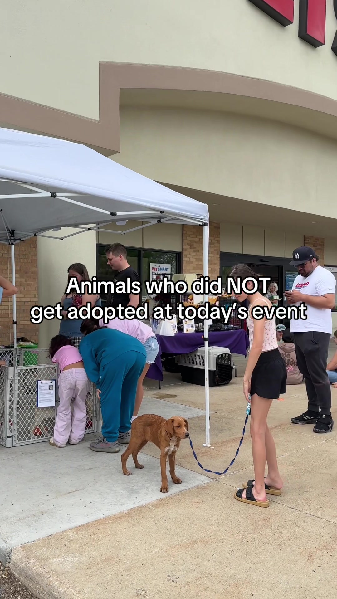 @sftsanimalrescue