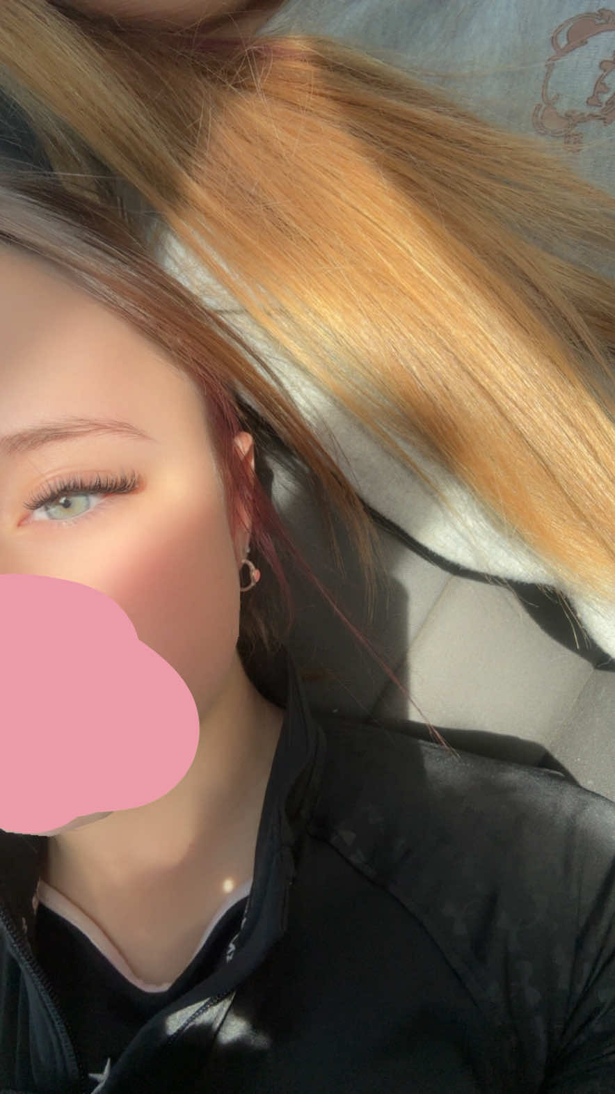 @lilyspam🩶
