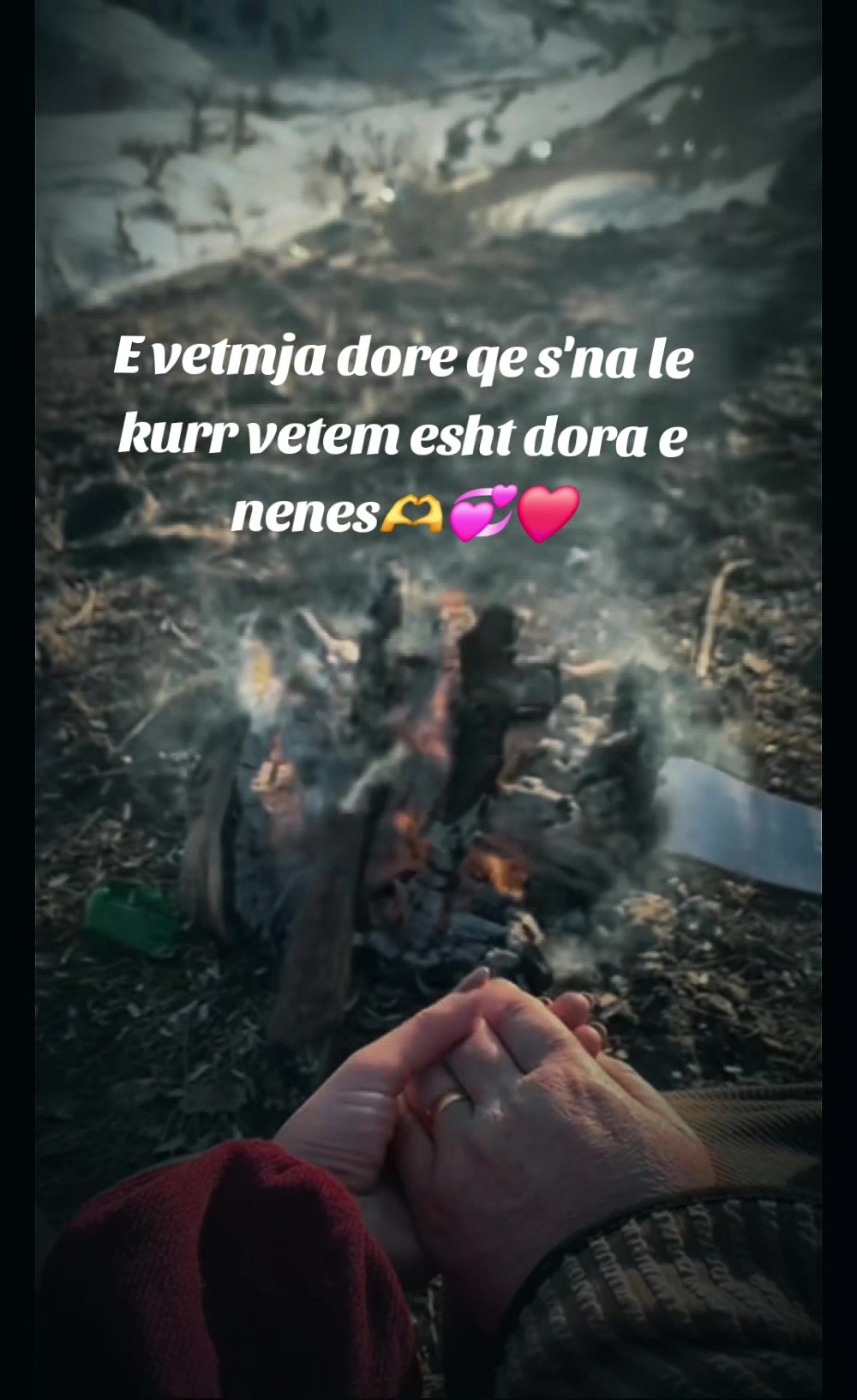 @🦁Luanesha🦁