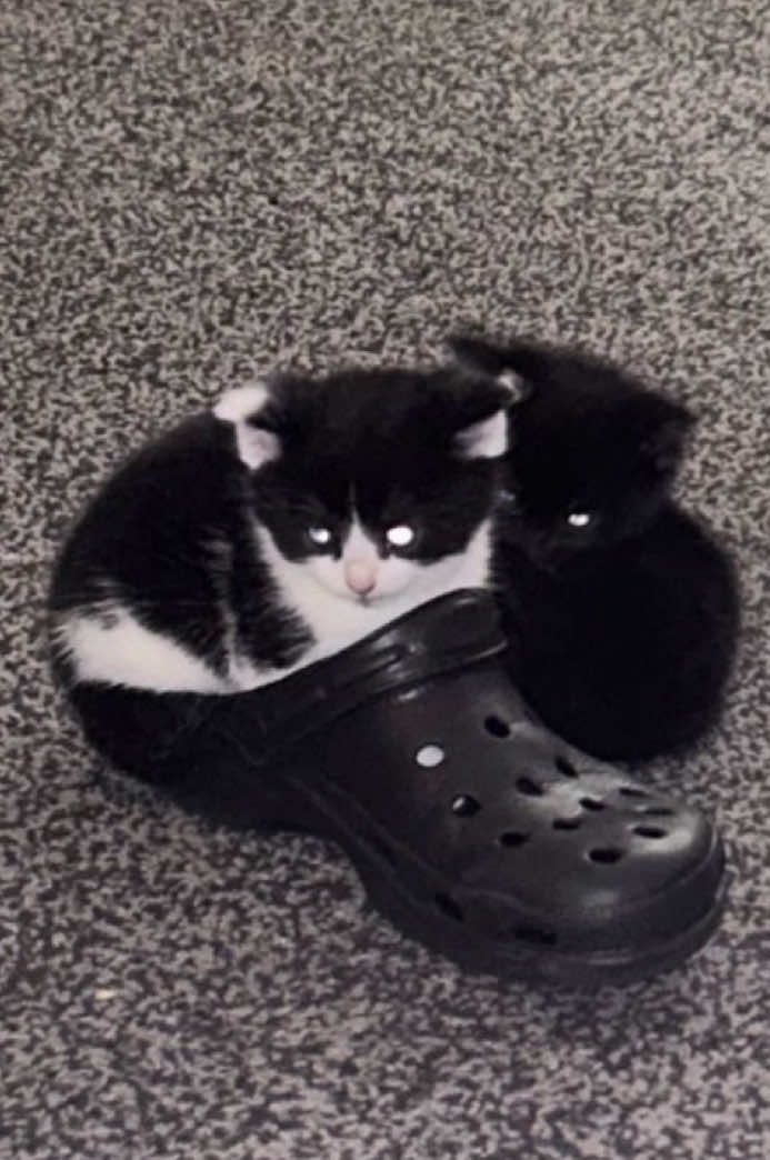 @𝐏𝐚𝐫𝐢𝐬