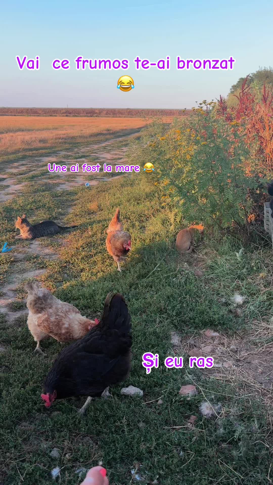 @꧁CREAȚAUNICĂ꧂
