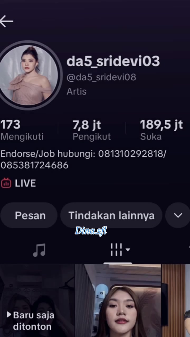 @•ᴅɪɴᴀ.sғʟ ⋆˚𝜗𝜚˚⋆