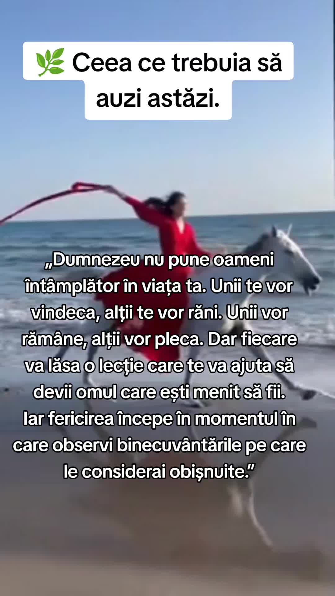 @iulia