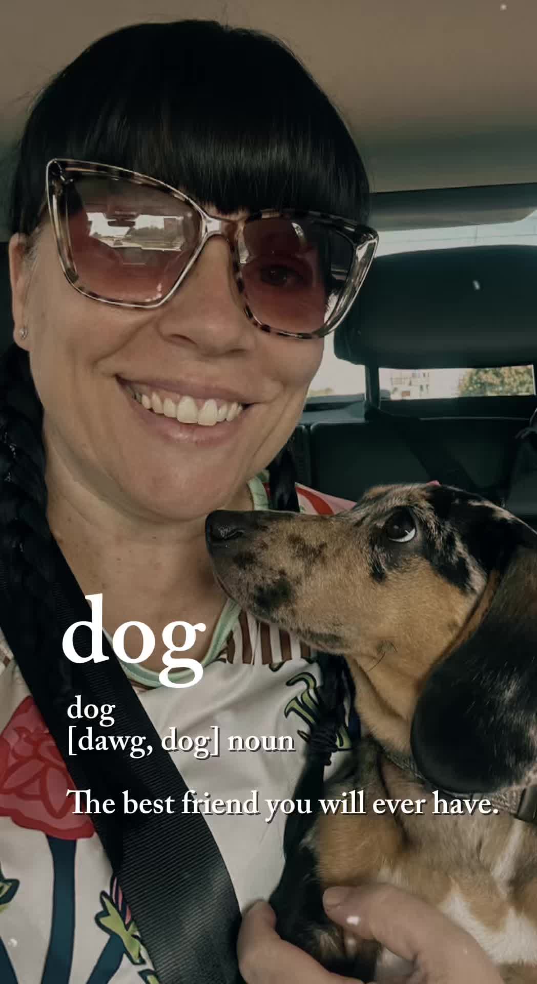 @Maverick The Dachshund