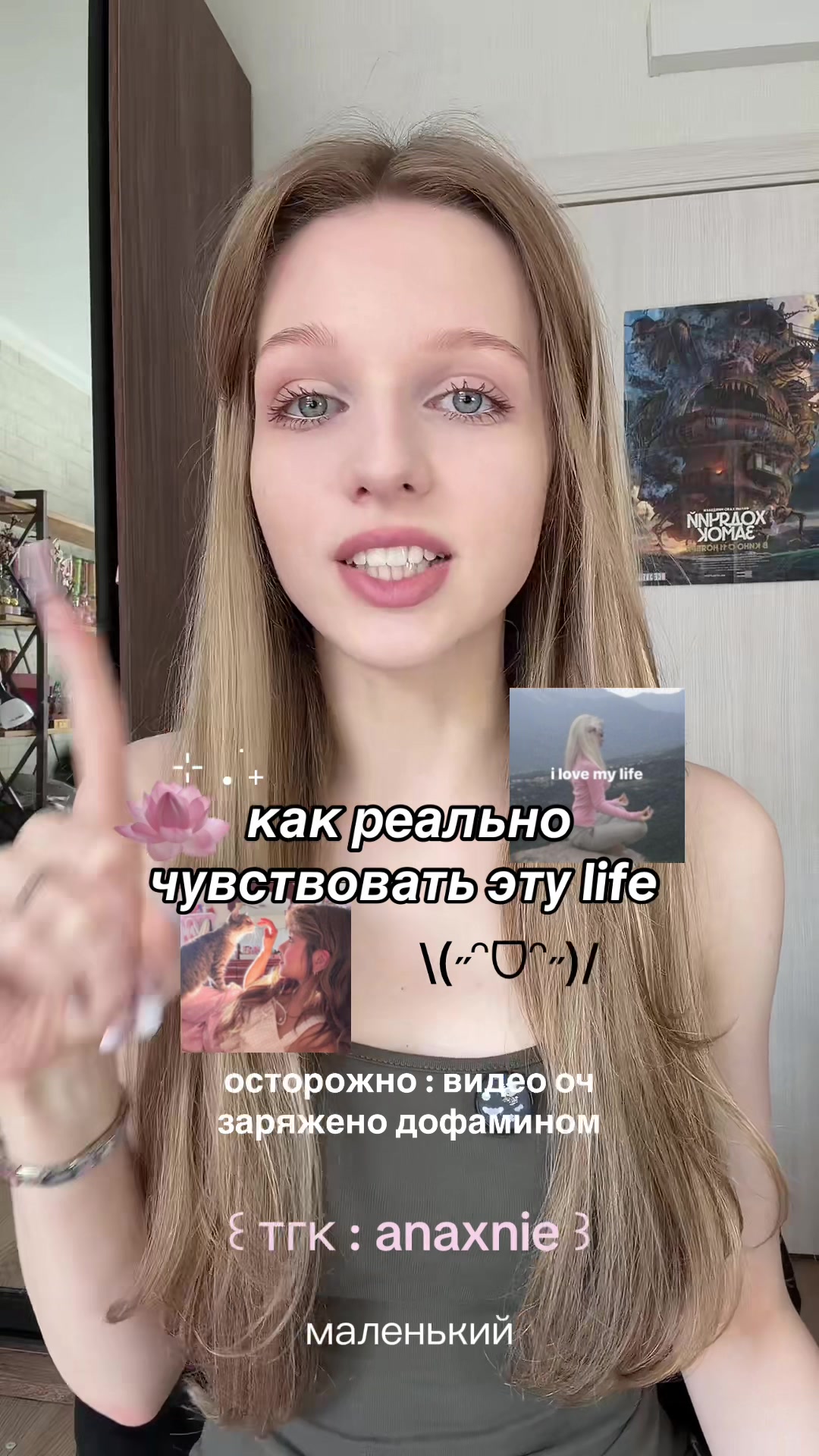 @✧˖°. анаксни ‧₊˚⊹