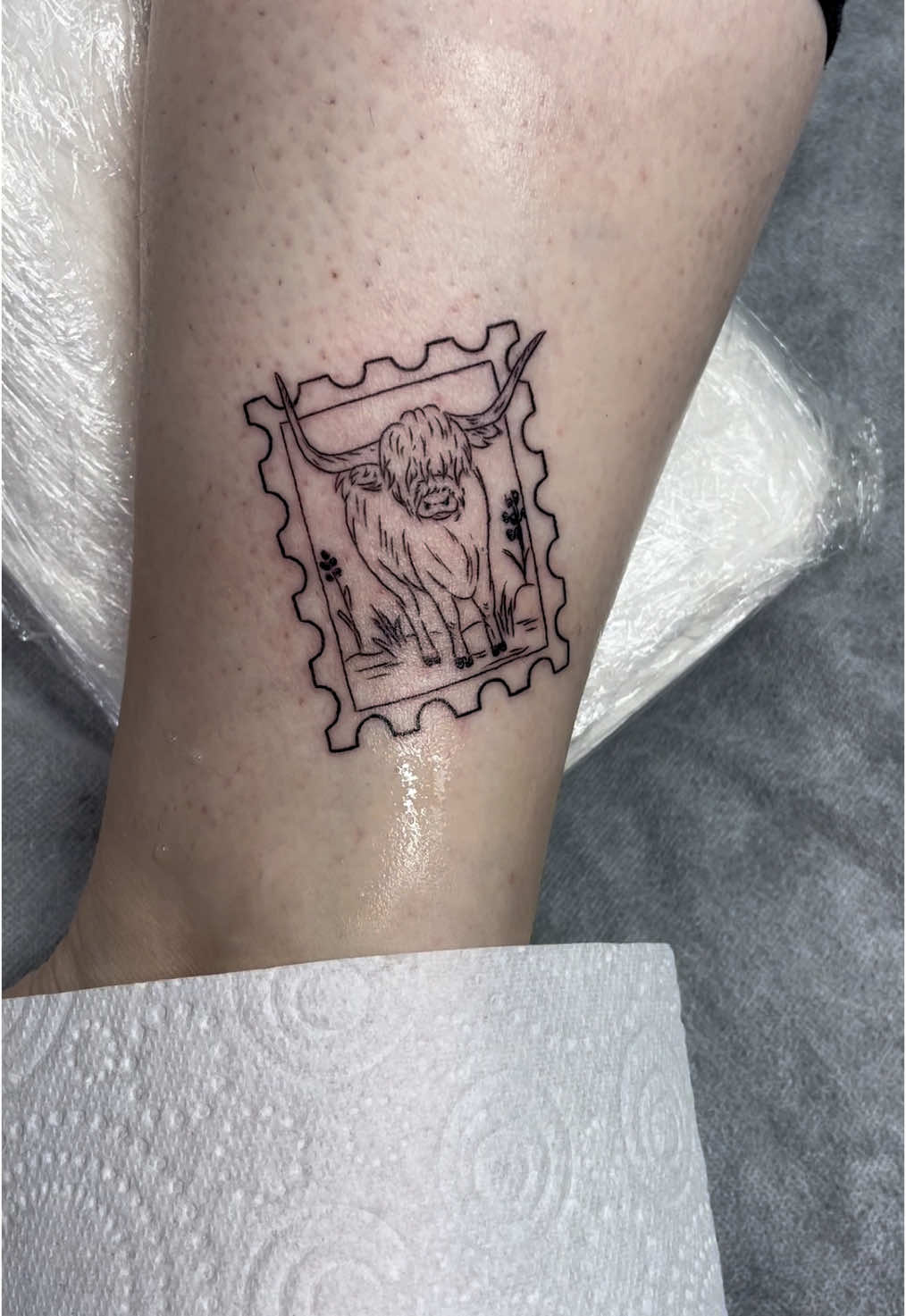@snow.white.ink