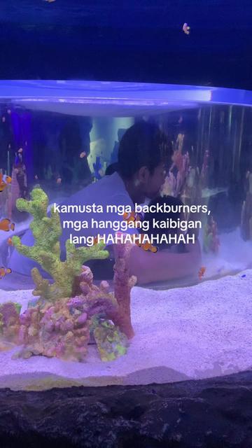 @mikso.