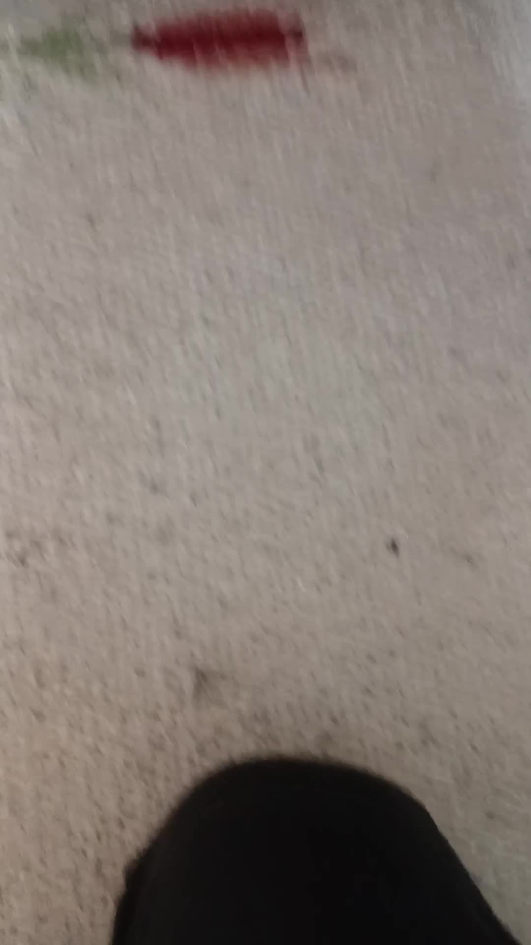 @Ocraine416
