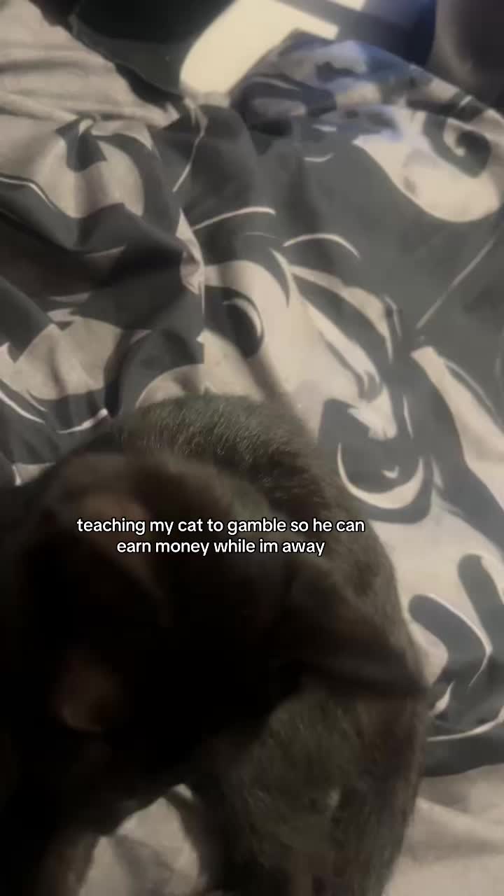 @abi 🫦