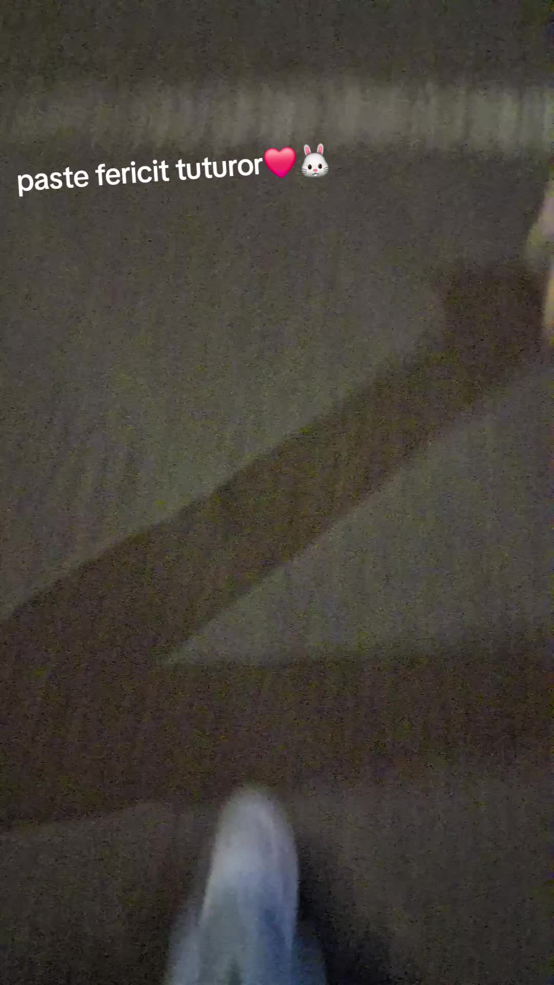 @Giulia_S💖🤘