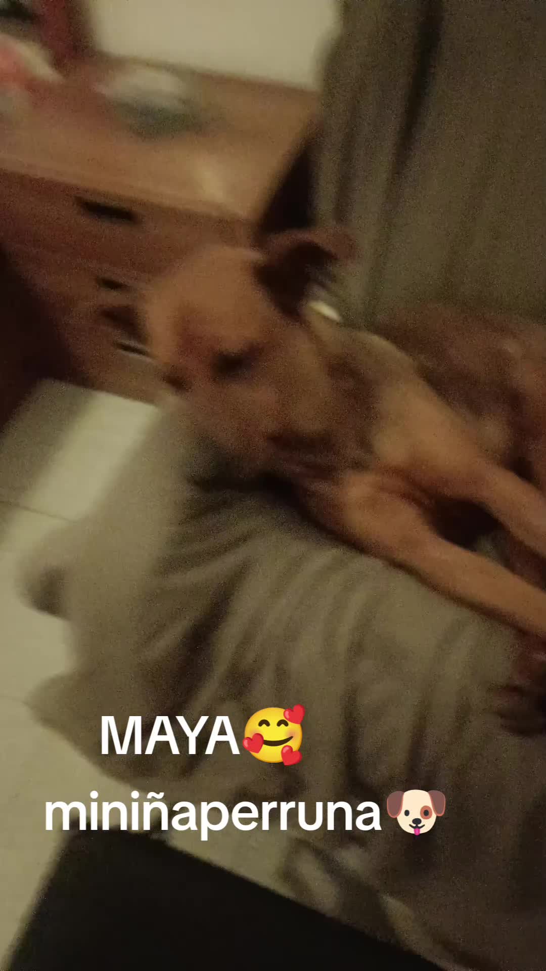 @conxibjimenez🇪🇦