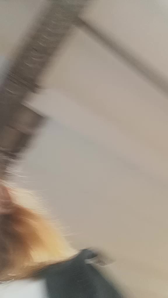 @Rozsika zsolti szvem