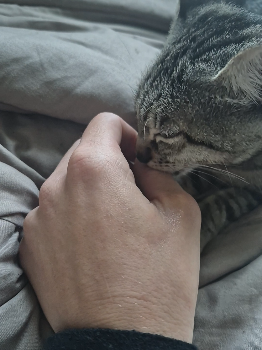 @masha_biaspalava