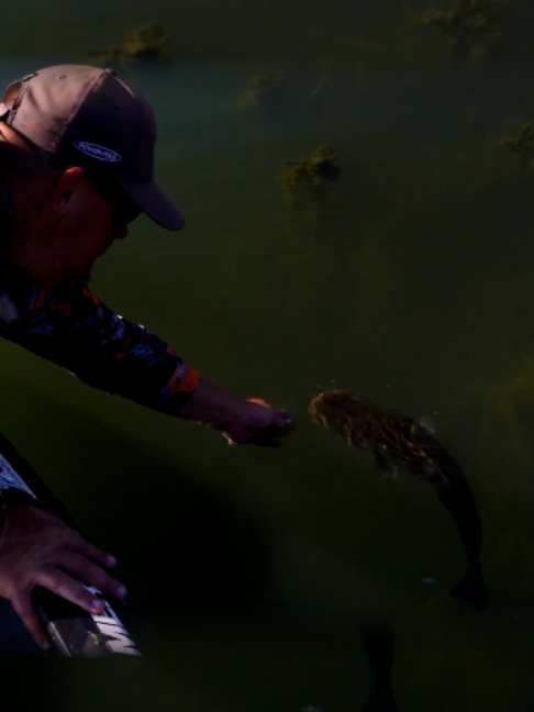 @Fishing TV