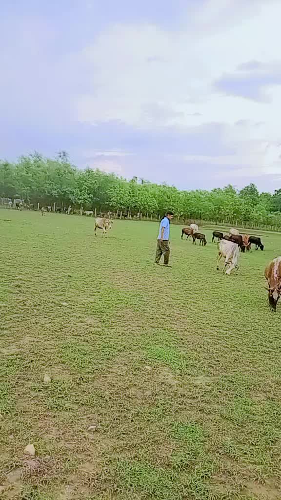@थापा काजि🙏🙋♂️