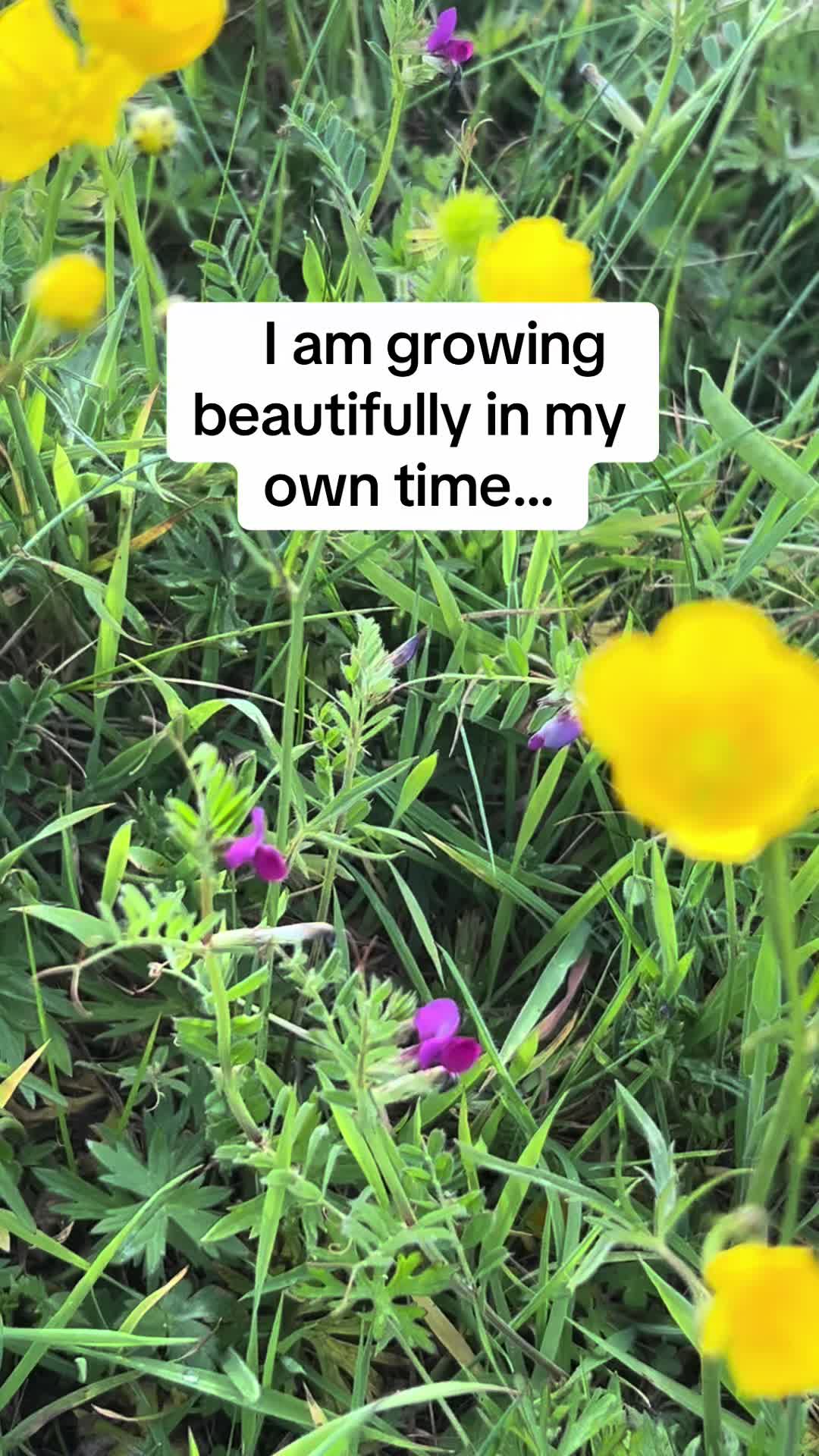 @healingheartsholistics