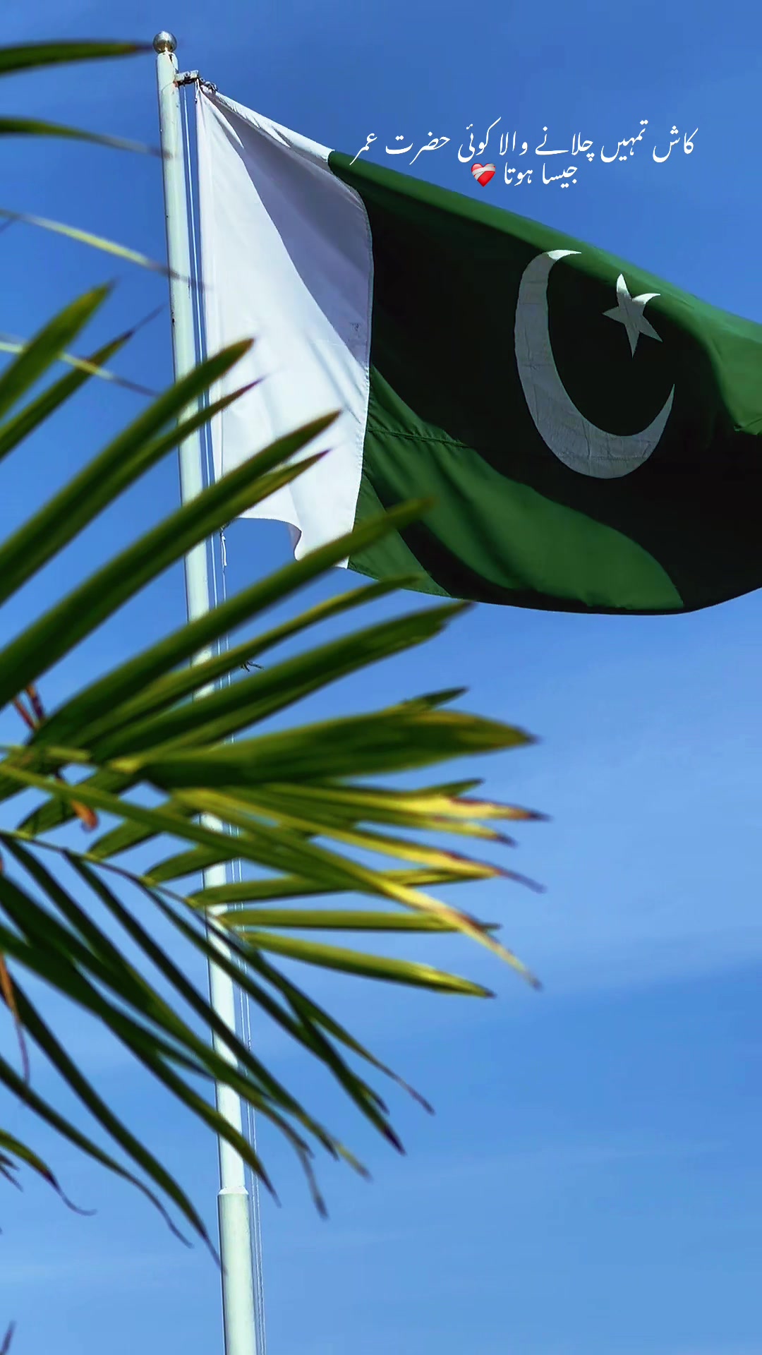 @شہزاد حسن چیمہ🇵🇰🇸🇦🇵🇰