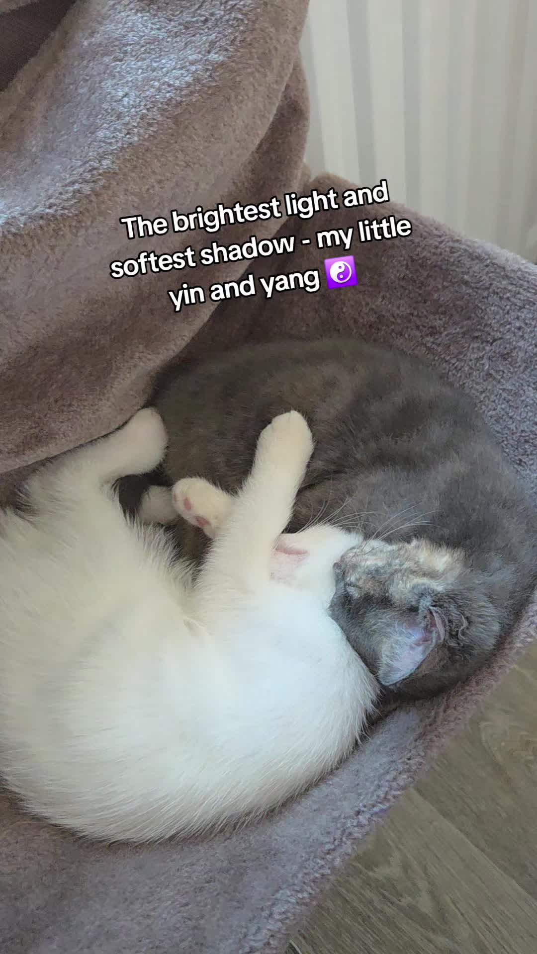 @MarriedWithMeltdowns