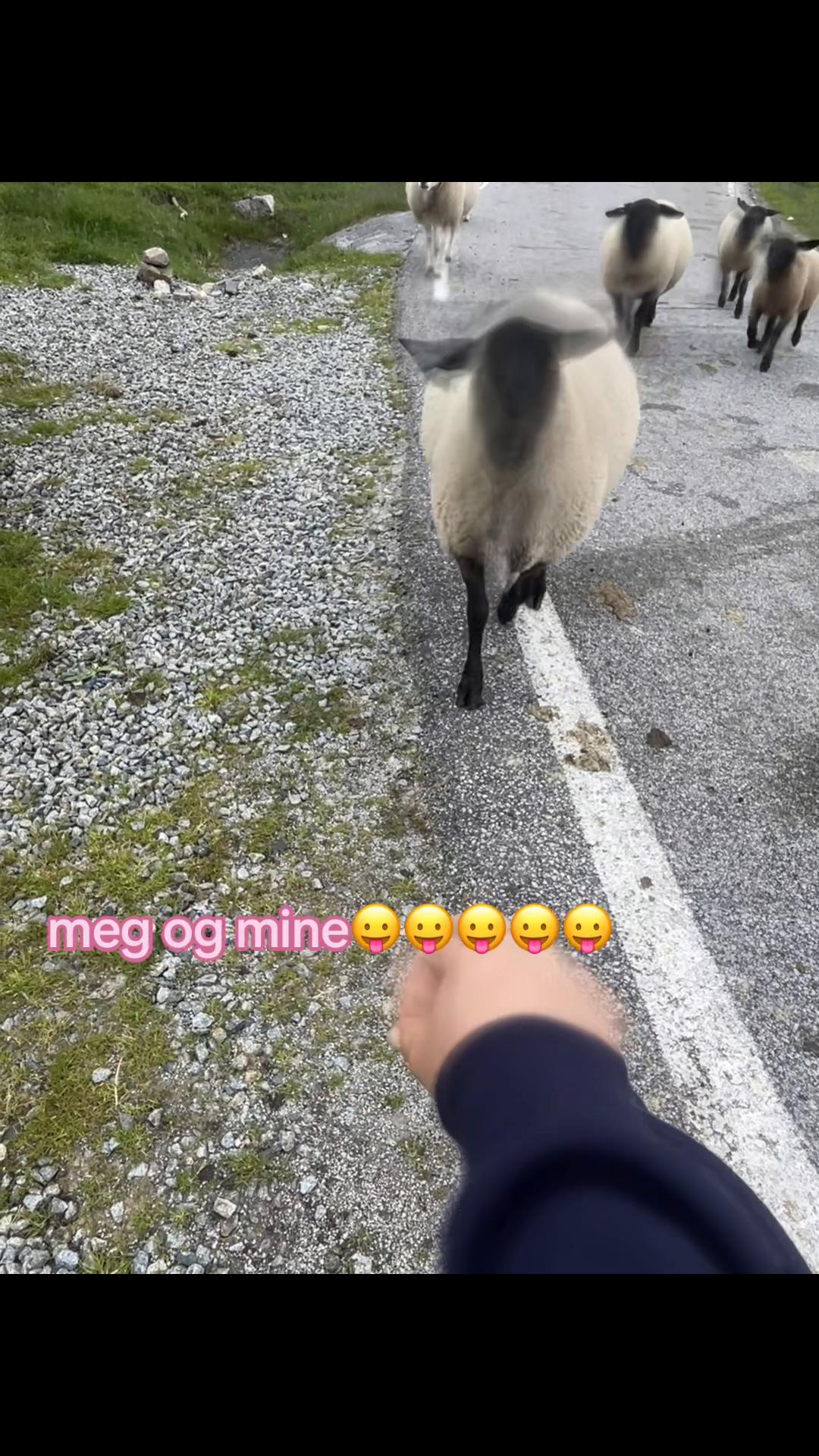@ulli
