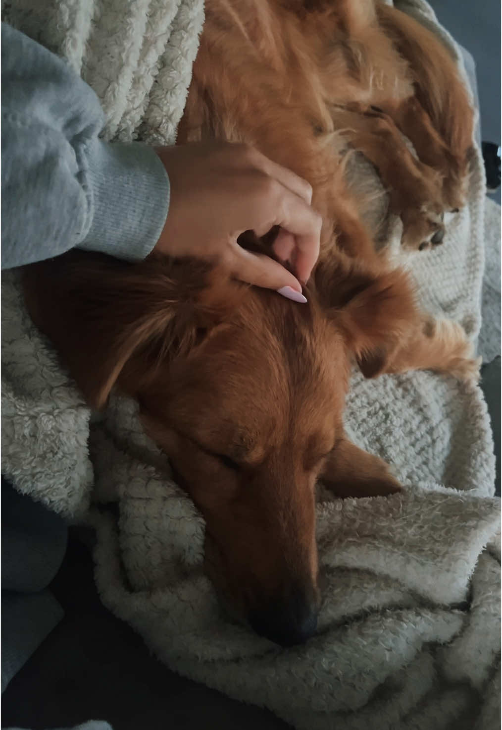 @Elisa & Sunny 🐶