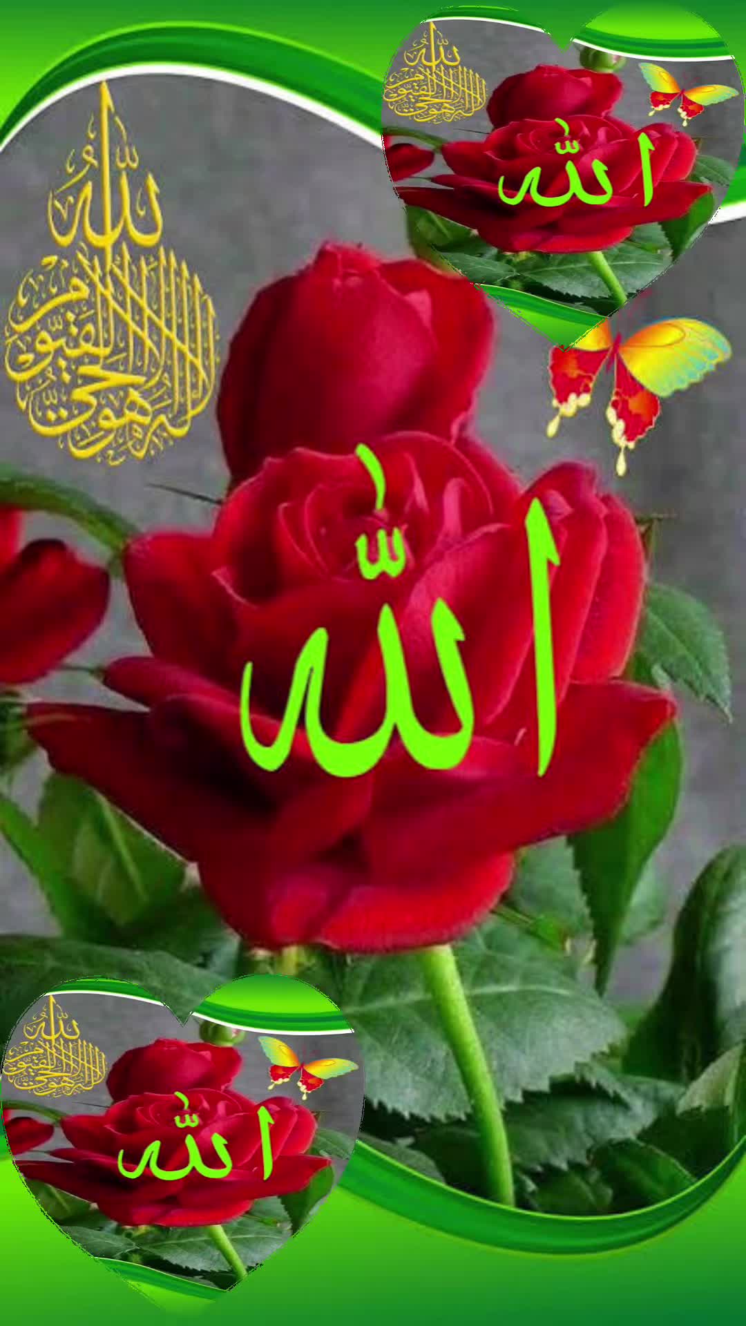 @♥️♥️🌺🌺🌺Holly Quran 🌺🌺♥️♥️