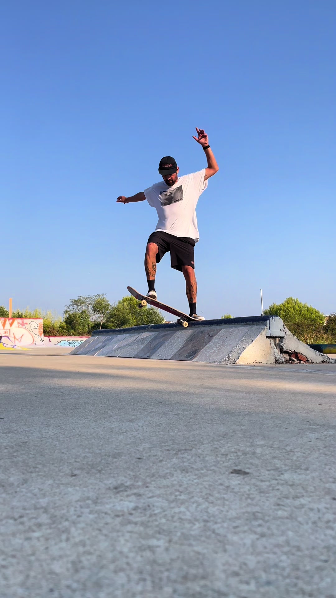 @Petshop Skateboards