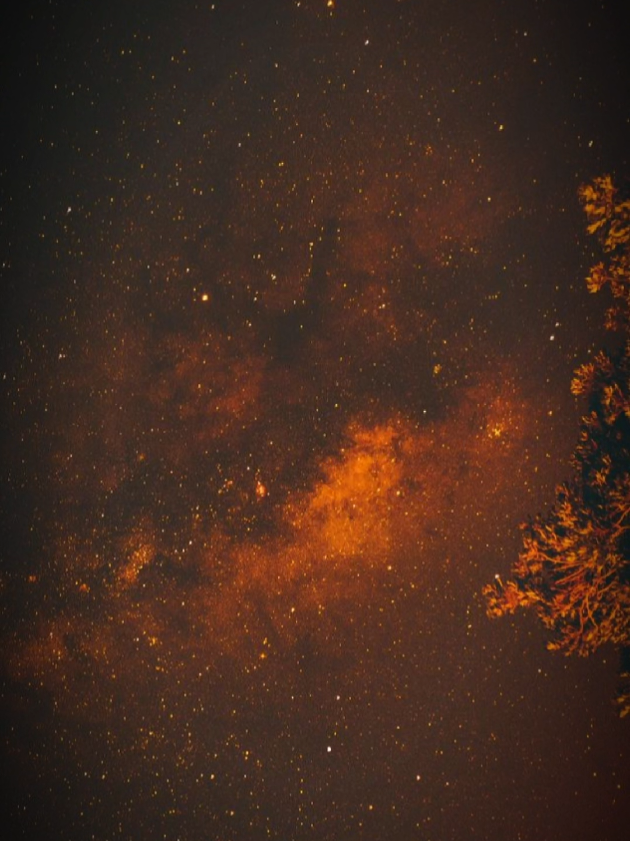 @midnightThoughts