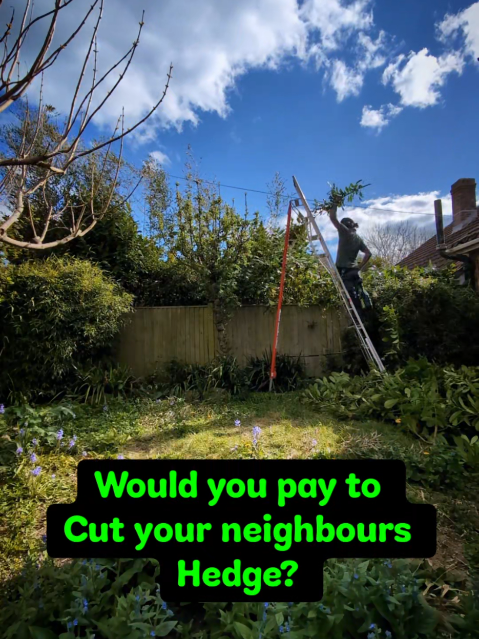 @Gary Hall Garden Services