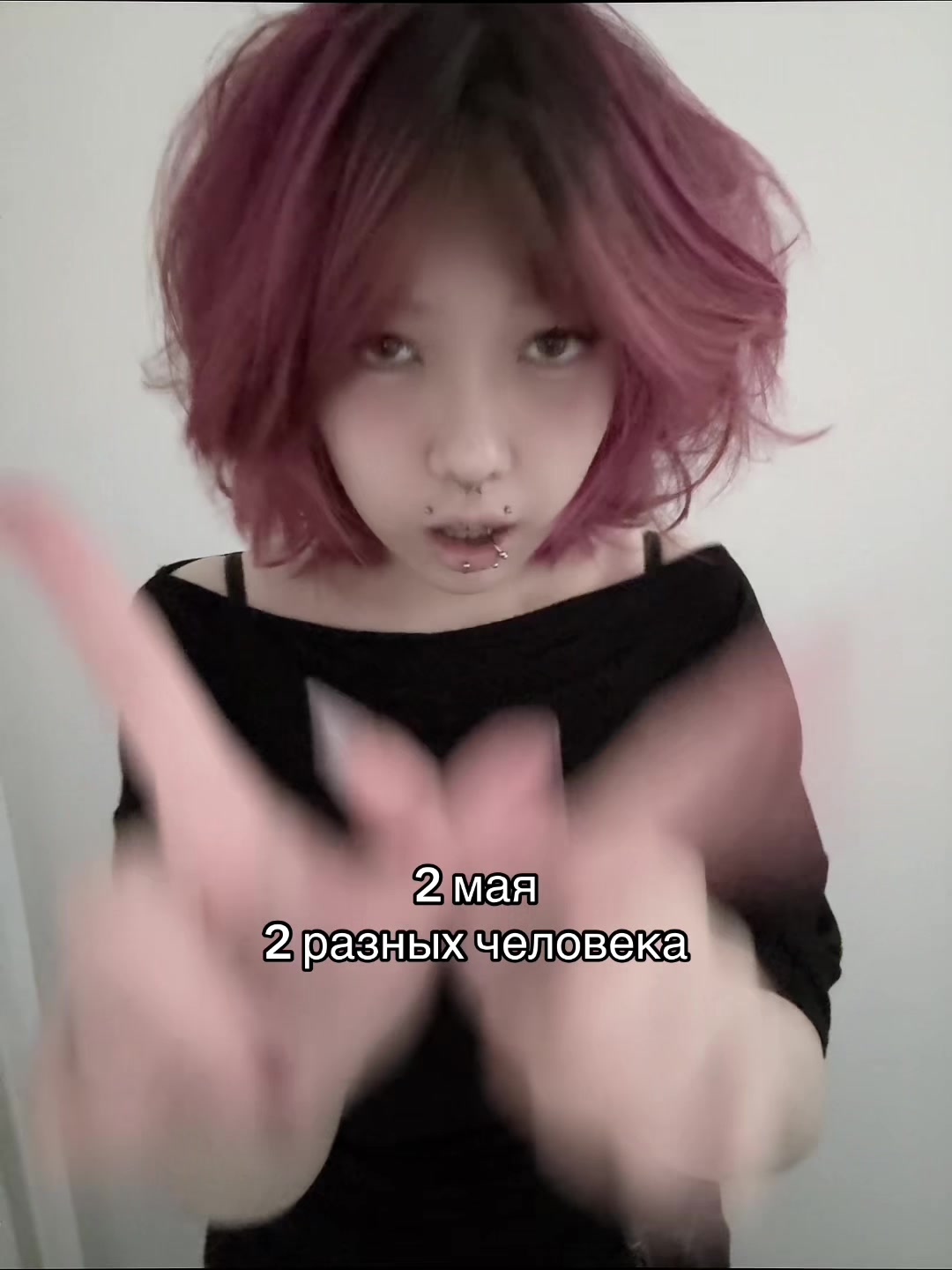 @птичка 2.0