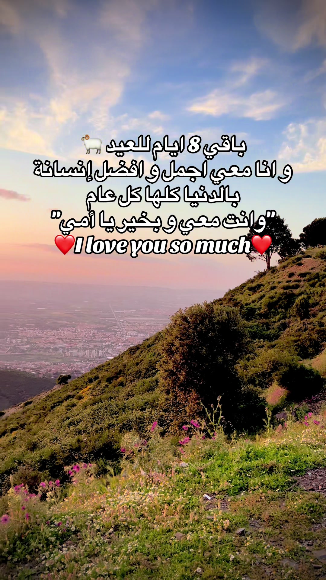 @Abdou🐺🖤