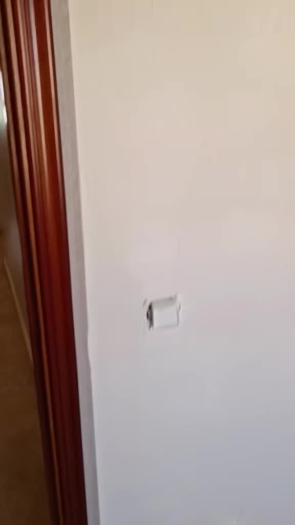 @El Bicho 🕷️
