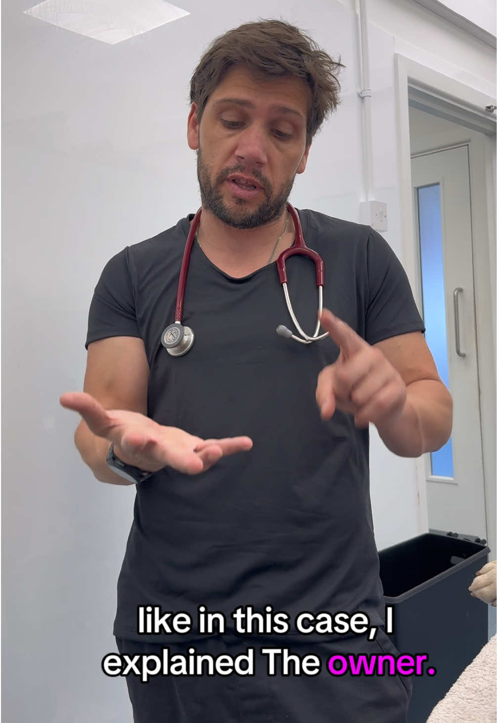 @Tomasthevet