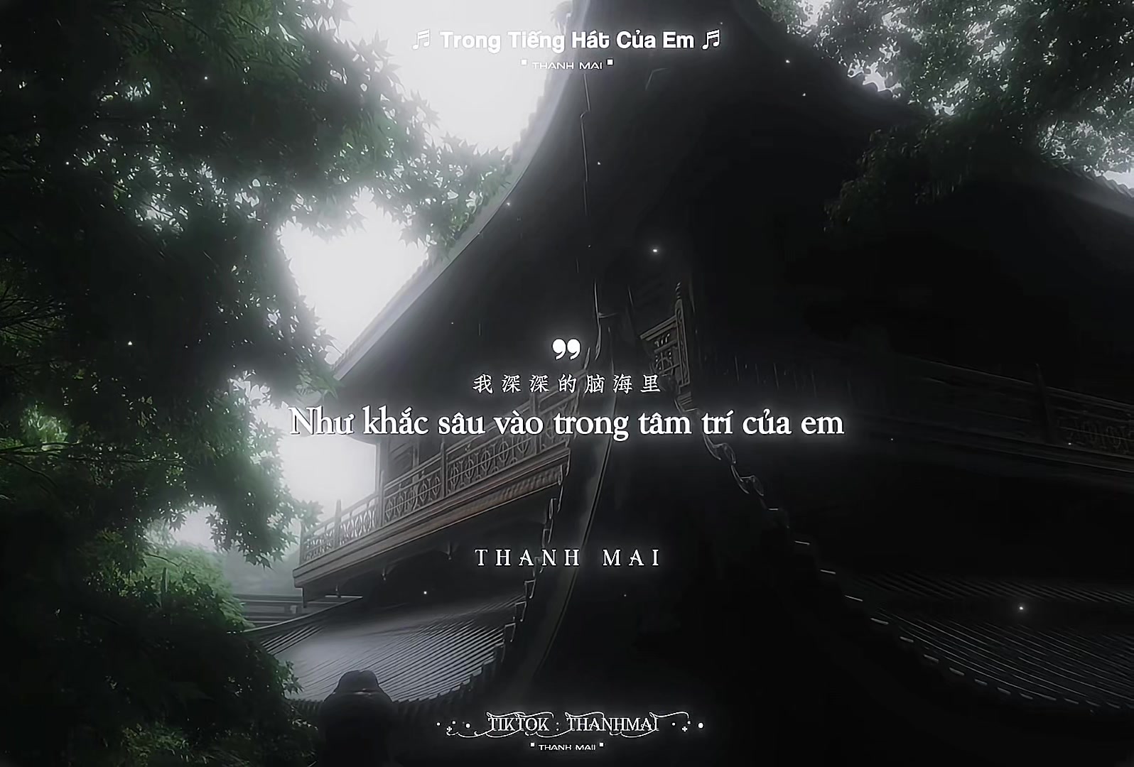 @𝗧𝗵𝗮𝗻𝗵 𝗠𝗮𝗶𝗶 青梅