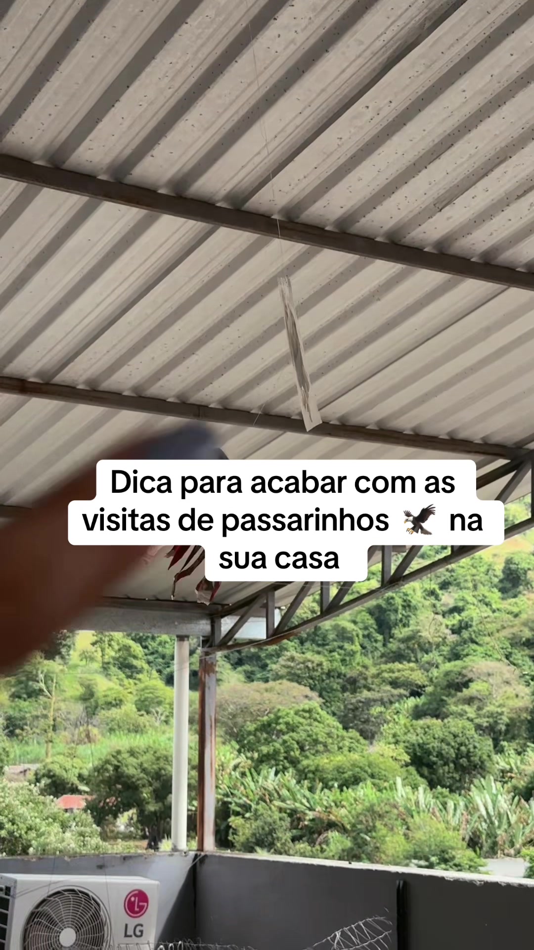@Alyne Alves