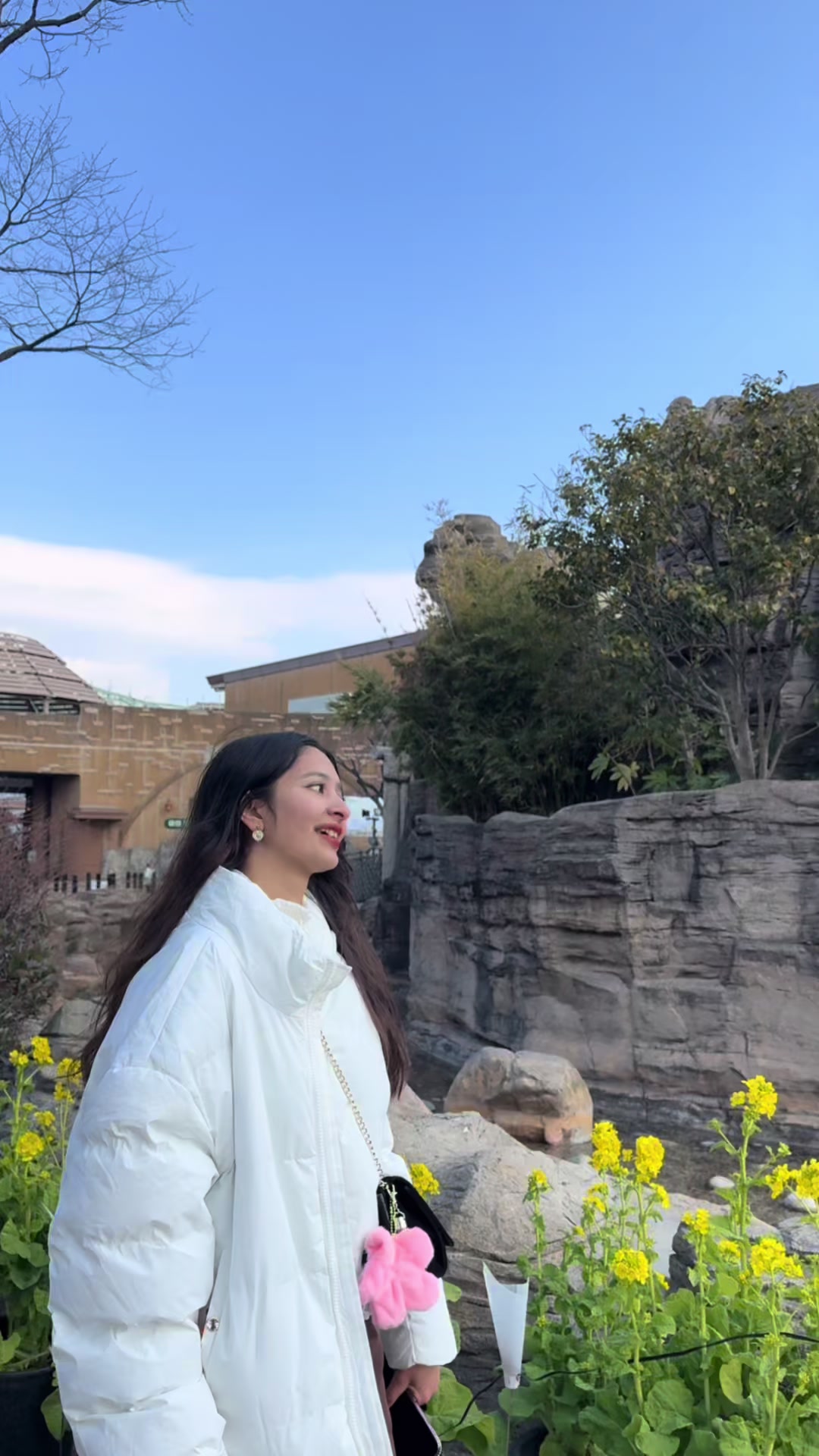 @Asmee🦋💫🇯🇵