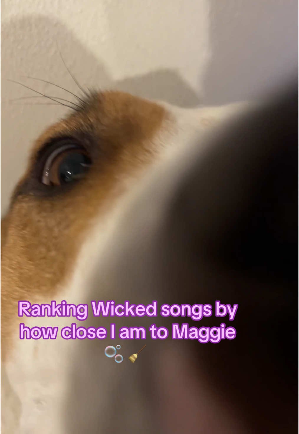 @maggieandmartha