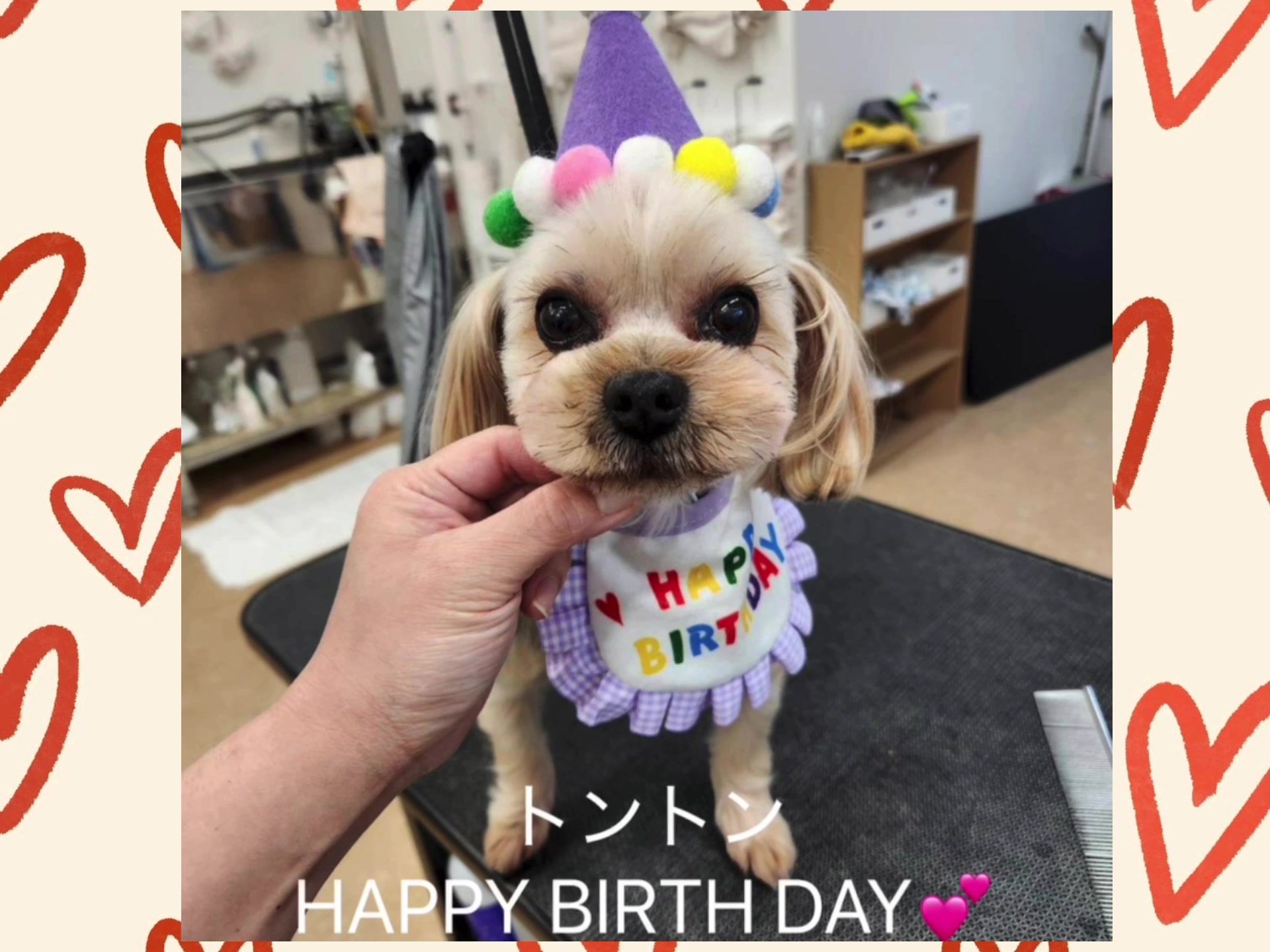 @ビビまるトンチャー