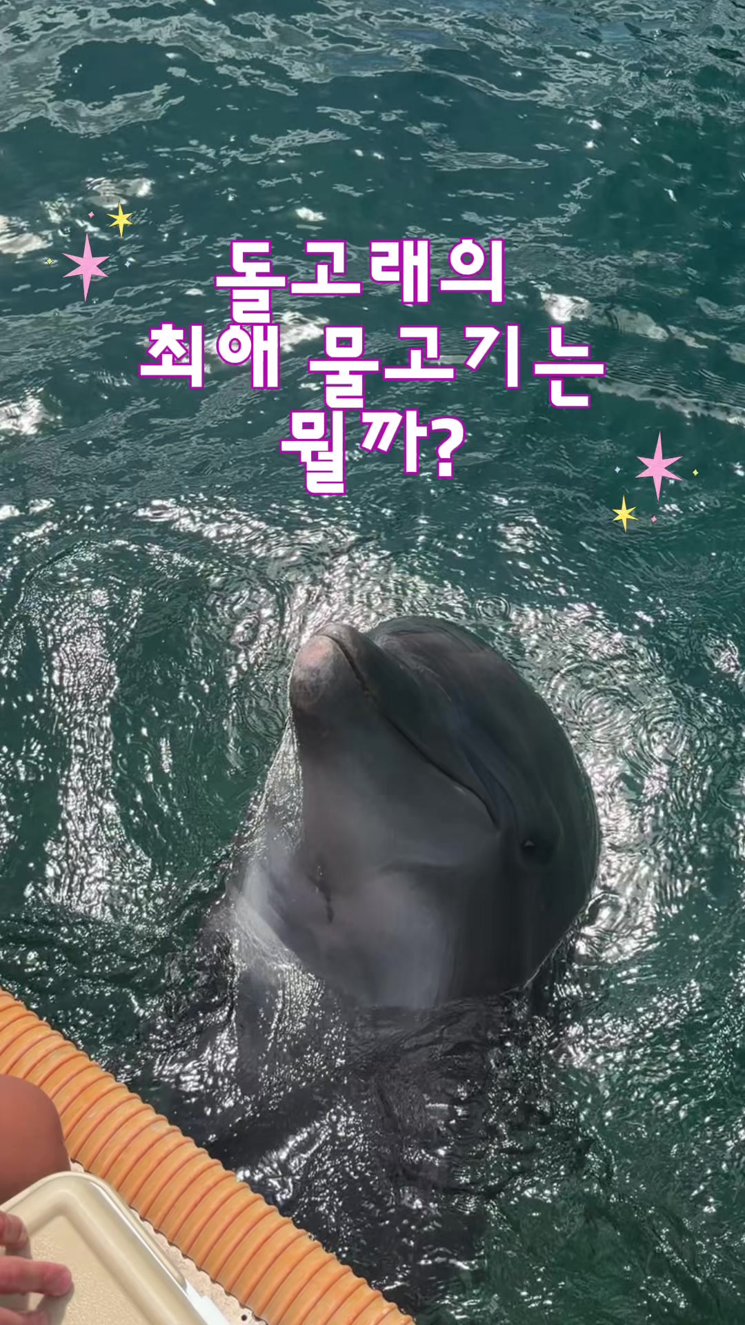 @DolphinTok