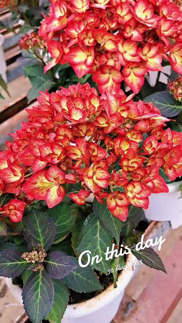 @Tararai