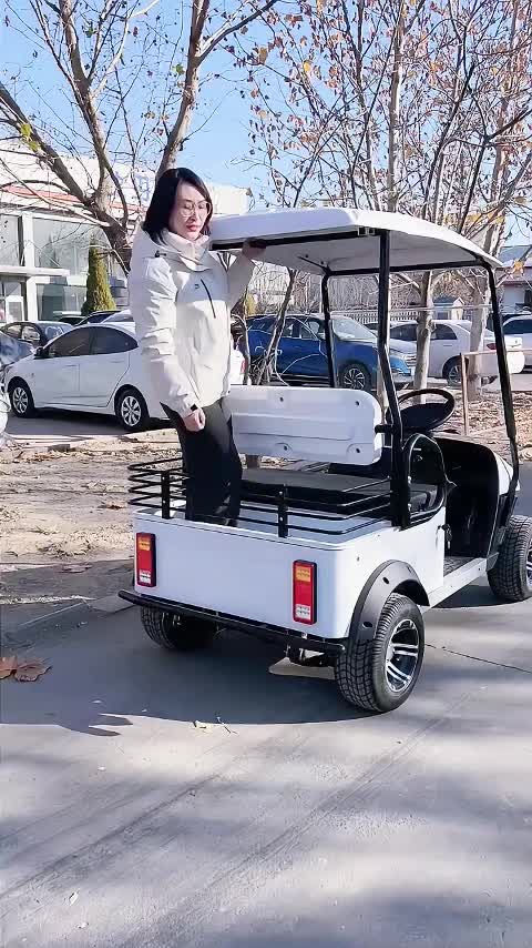 @mini bus_ev
