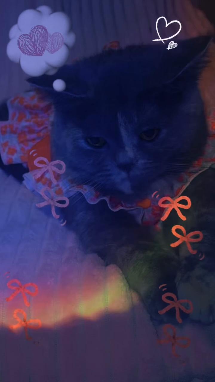 @𖤐☽♡ꕤ❀ℒ𝓊𝓃𝒶ℳ𝒶𝓎𝒶❀ꕤ♡☽𖤐