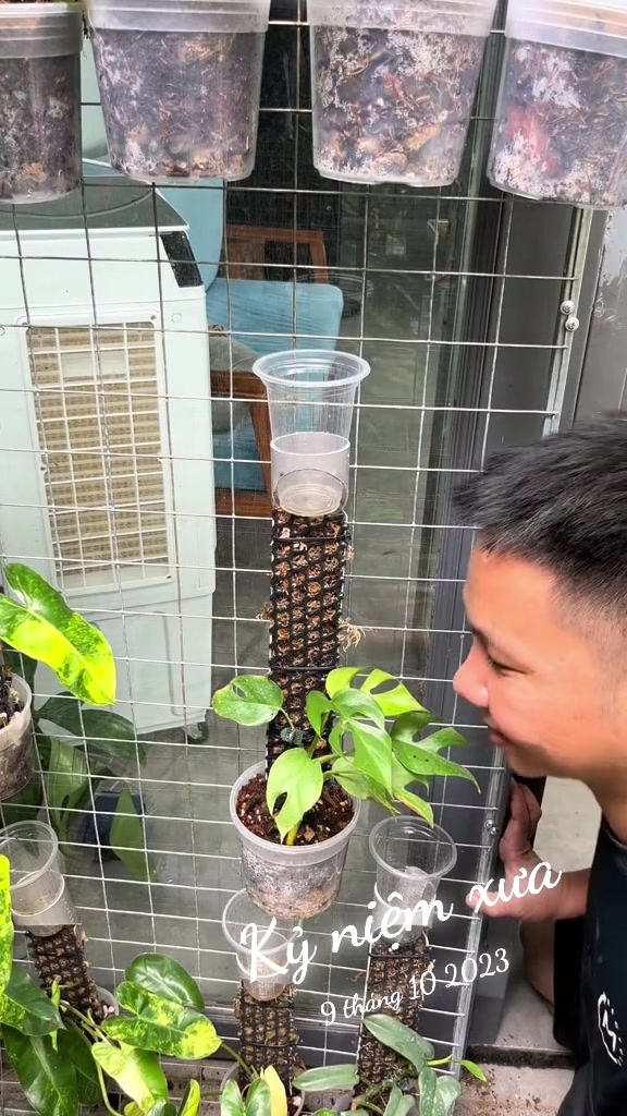 @Huy Kiểng Lá