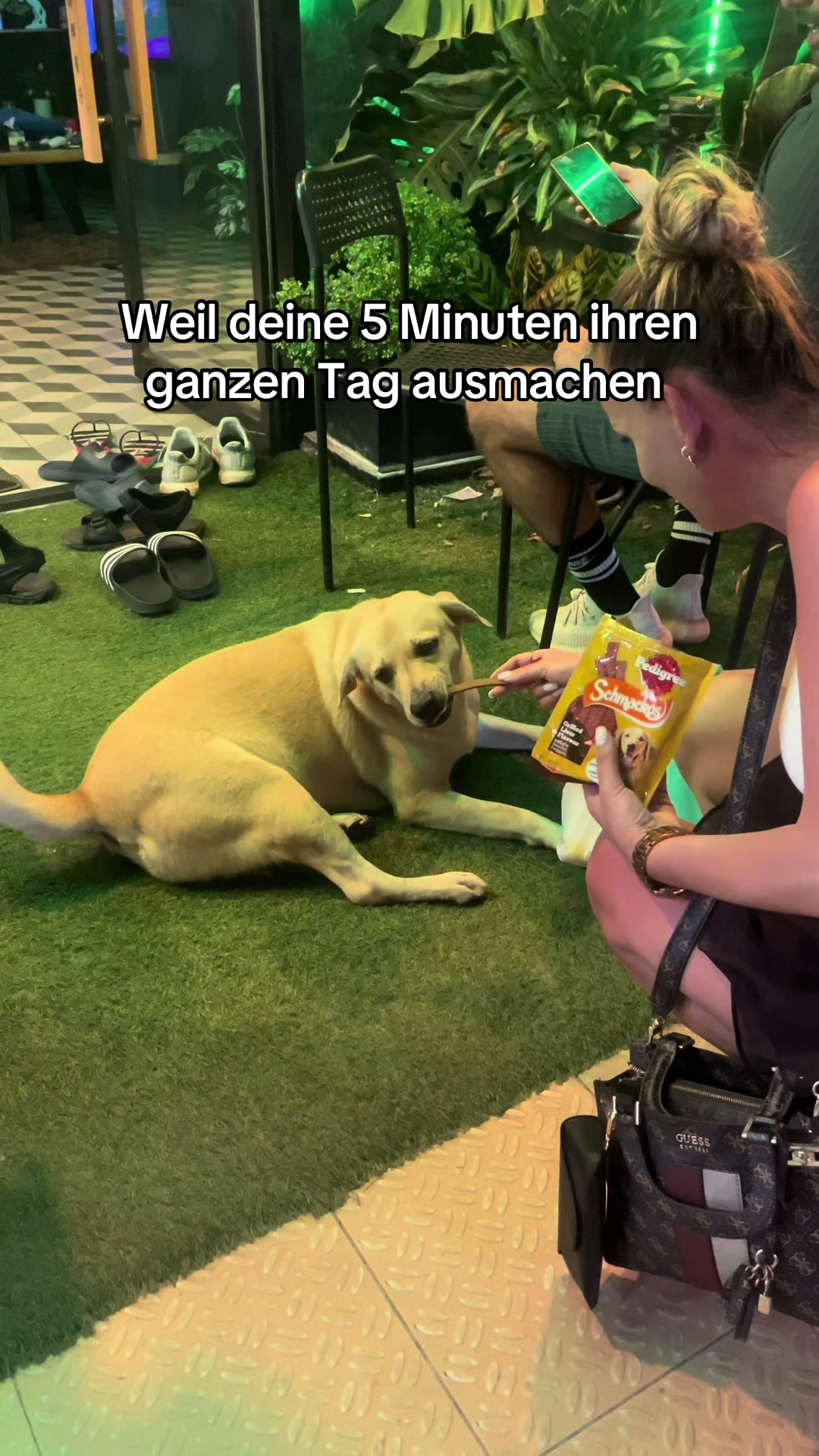 @meysdiaryy