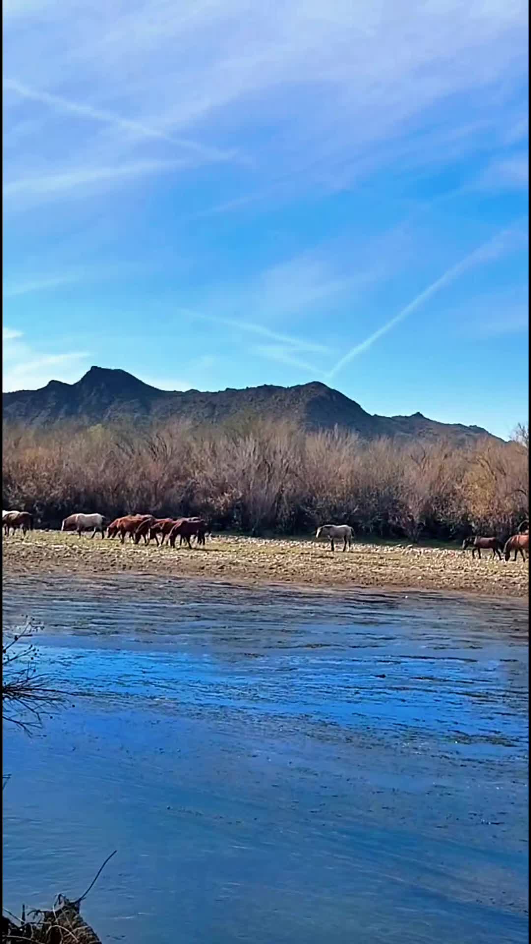 @Ashley 🌵