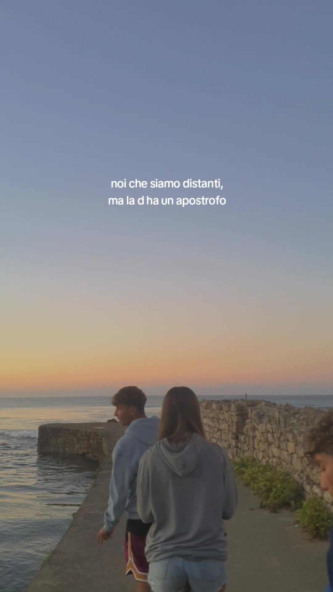 @flavi