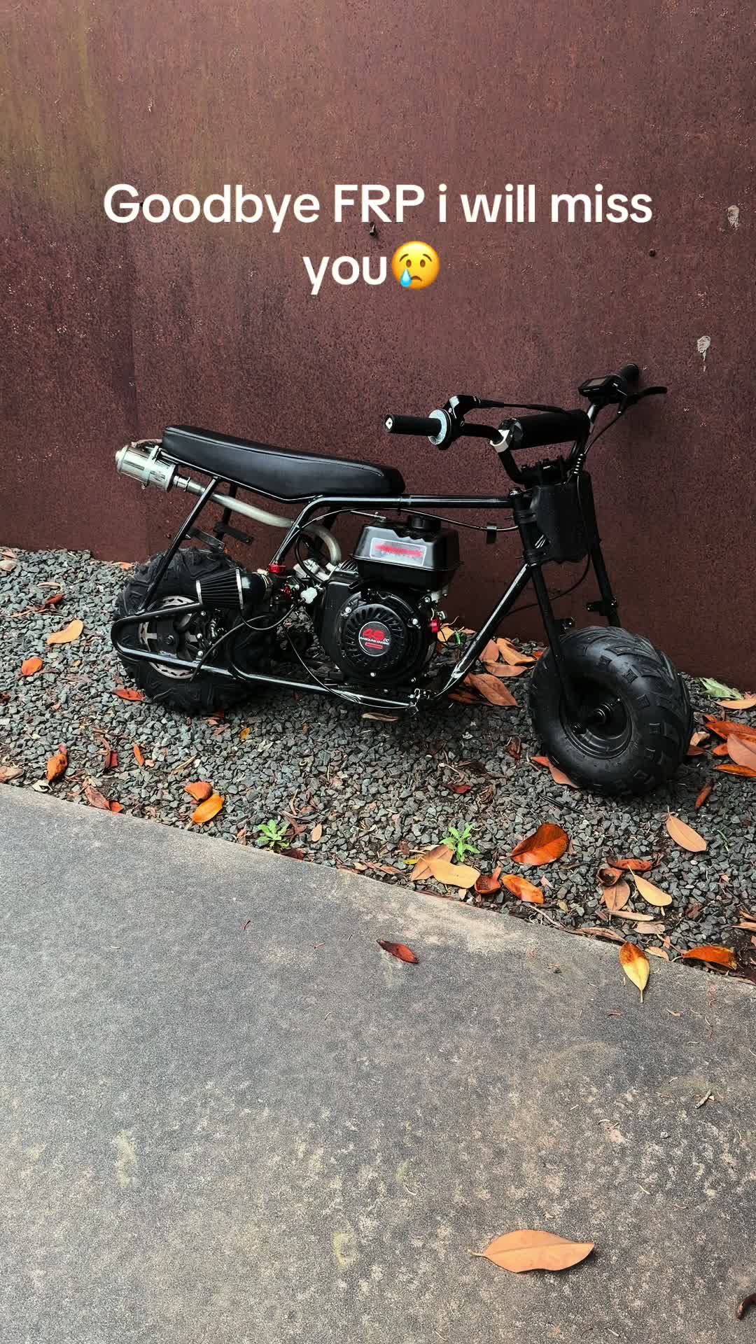@Dtx.rzr