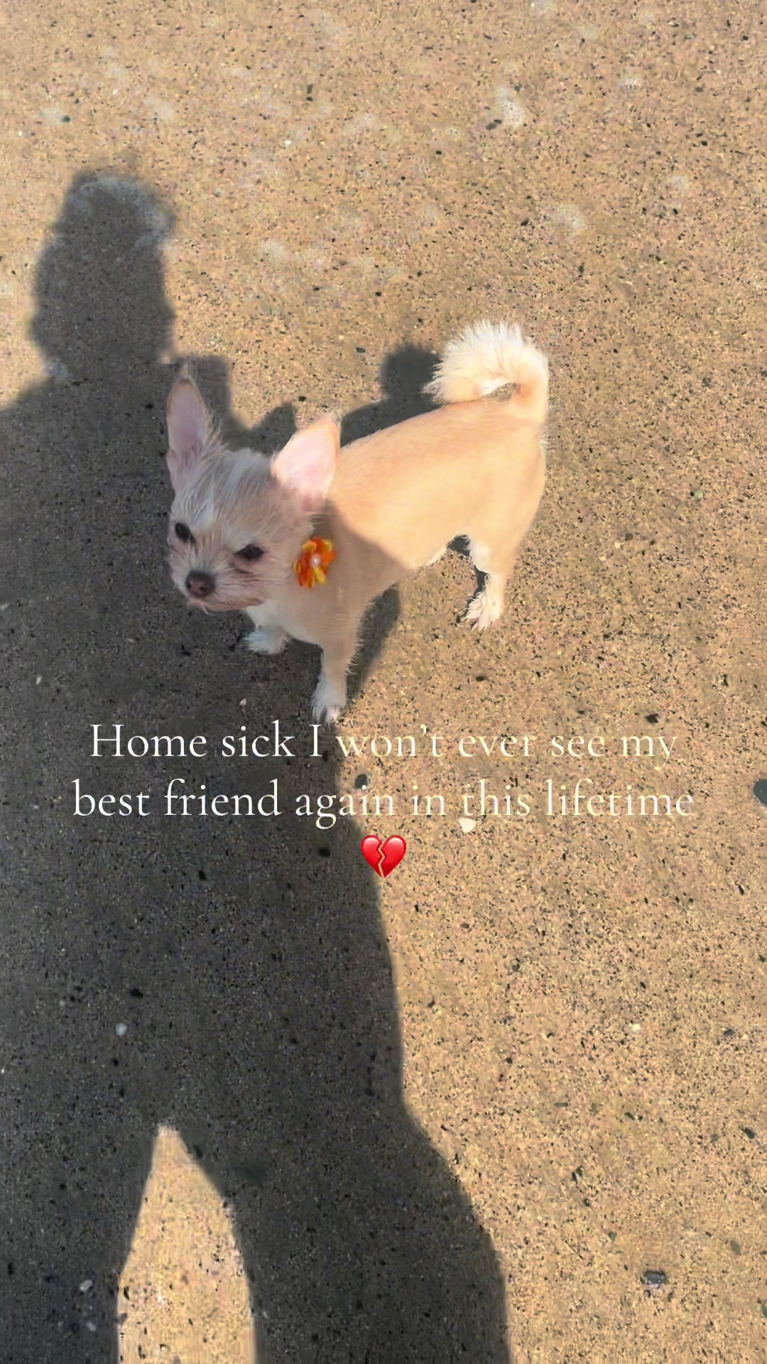 @lianesworldxo